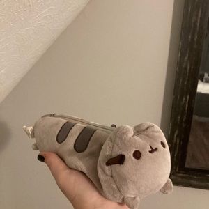 cute pusheen pencil pouch and customary sushi pen!
